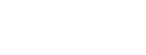 FV
